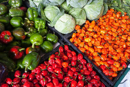 Close-up of four crates of cabbages, peppers, and chilis.