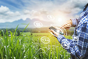 A man using a mobile device in a field