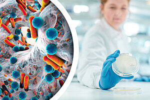 Lab worker holding petri dish with microscopic close up